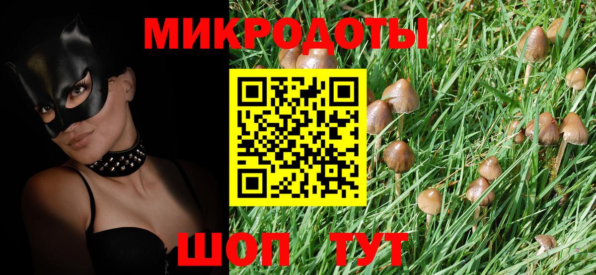 Псилоцибиновые грибы Magic Shrooms Аргун