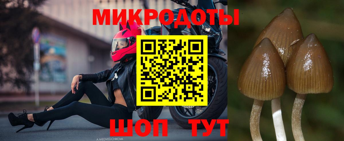 Аргун  магазин  наркотиков  Вход с VPN  Галлюциногенные грибы ЛСД 