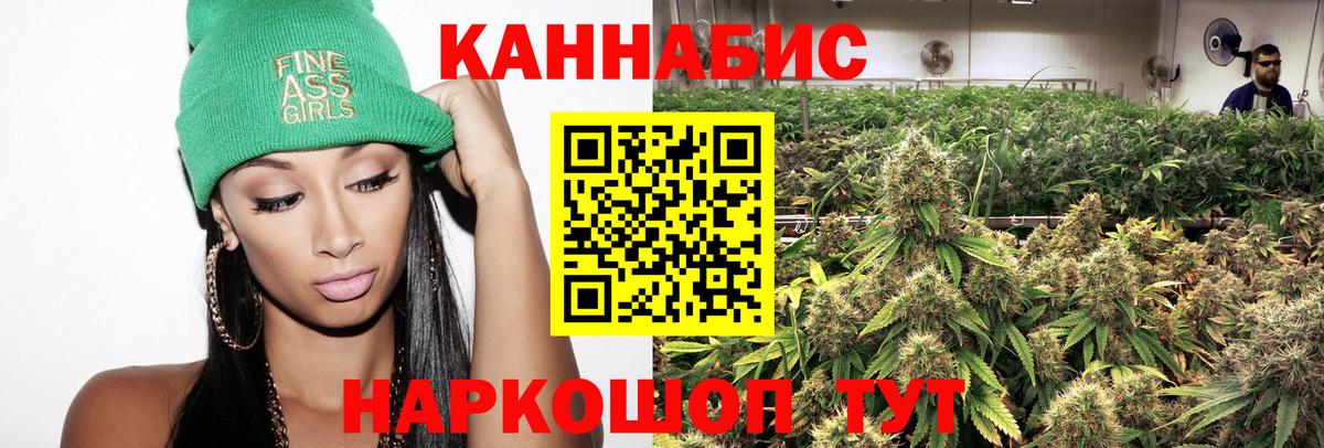МАРИХУАНА ГИДРОПОН Аргун